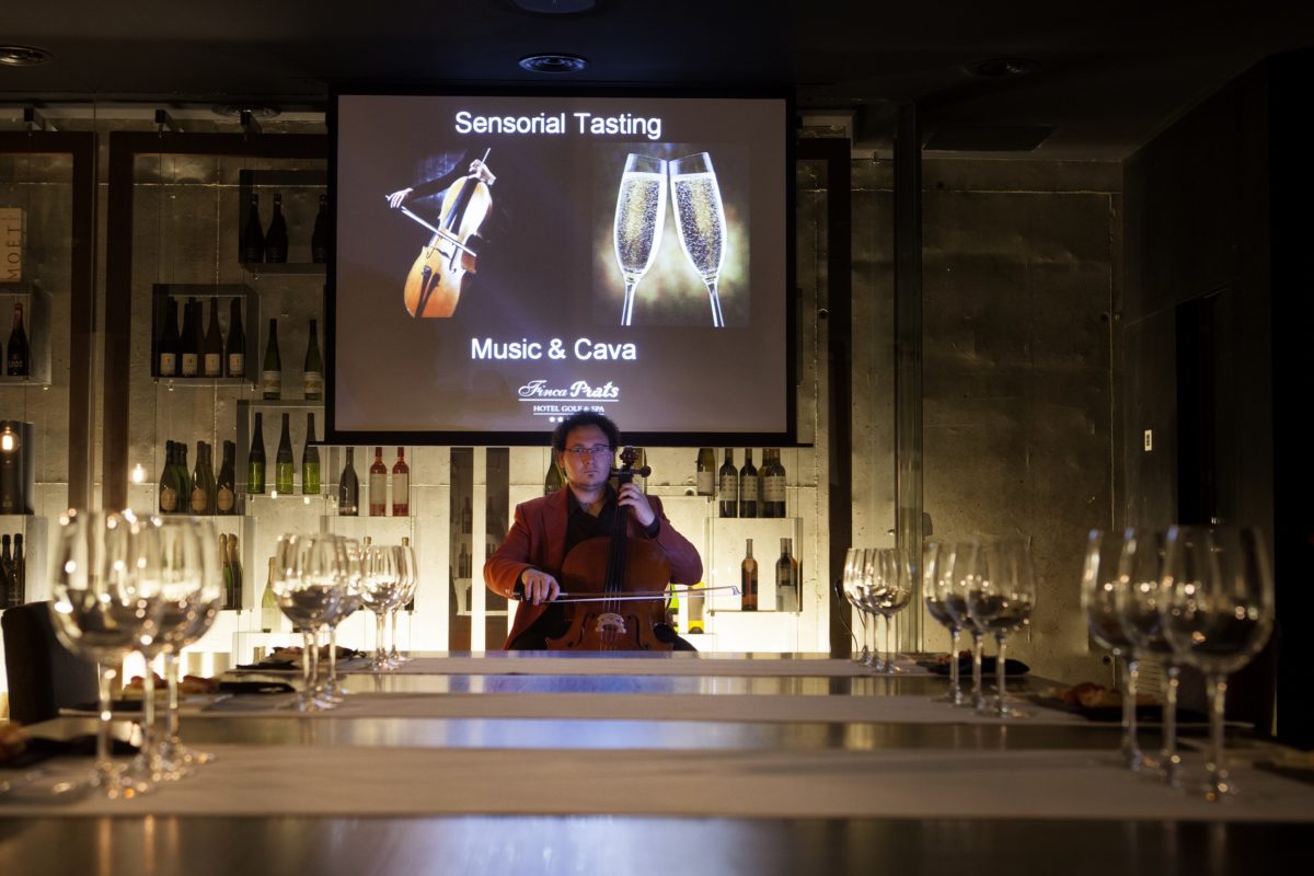 «Sensorial Tasting» – Music&Cava